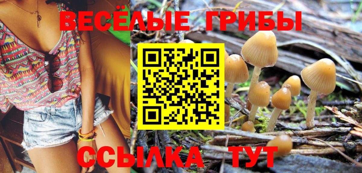 Псилоцибиновые грибы Psilocybe  Псилоцибиновые грибы GOLDEN TEACHER  Пыть-Ях  Вход с VPN 